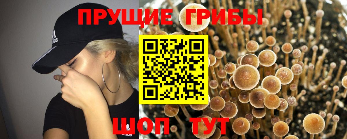 Псилоцибиновые грибы мухоморы Камышин