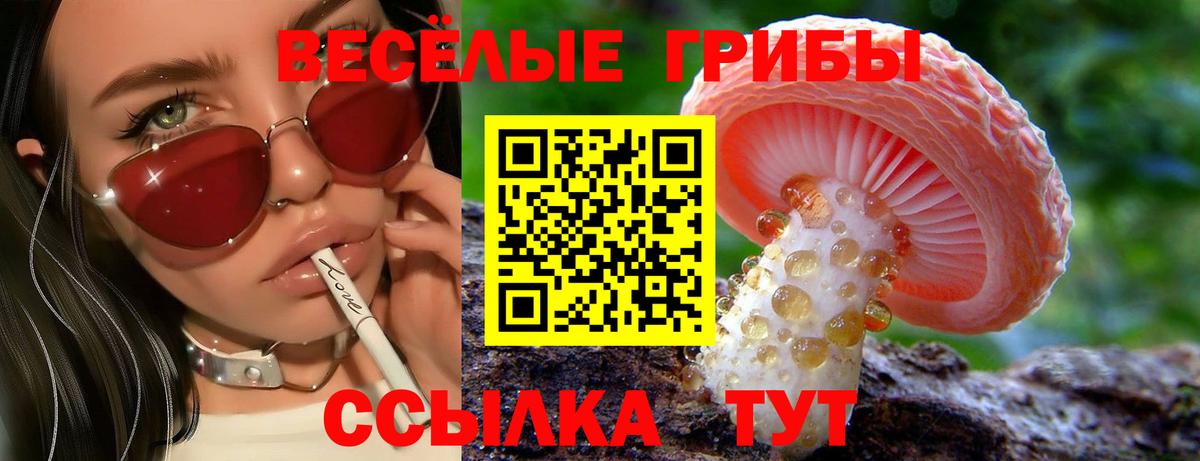Псилоцибиновые грибы мухоморы  Вход с VPN  Галлюциногенные грибы ЛСД  Камышин 